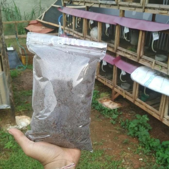 

Terlaris Pupuk Kandang Kotoran Kelinci Perkebunan Tanaman