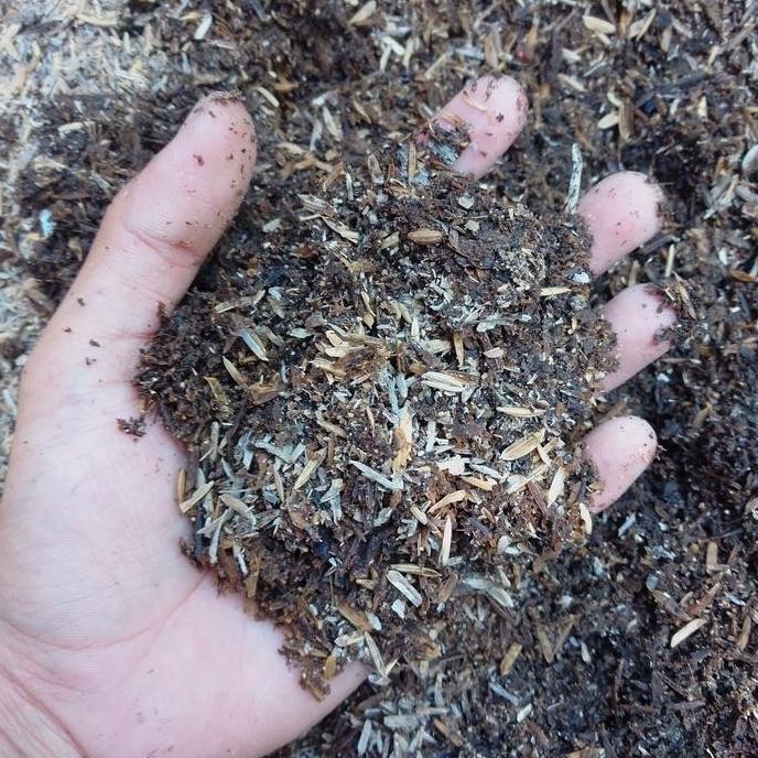 

Terlaris Pupuk Organik Pupuk Kandang 1 Kg