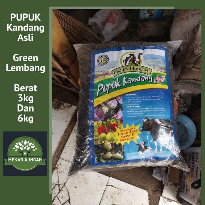 

Terlaris Pupuk Kandang Green Lembang 3-6 Kg / Media Tanam Green Lembang