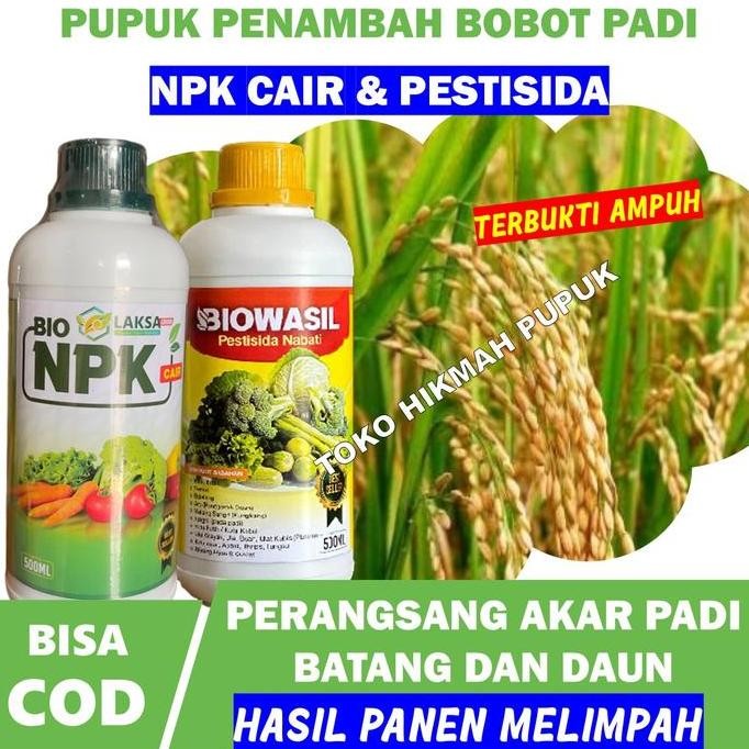 

Terlaris Paket Hemat Npk Laksa & Pestisida Biowasil Pupuk Booster Ajaib Memperbanyak Daun Anakan Padi Penambah Bobot Padi Berkualitas Dan Berat Pupuk Semprot Organik Pada Padi Paling Bagus