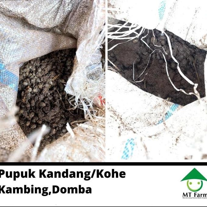

Terlaris Kohe Kambing Mt Farm Kotoran Kambing Pupuk Kandang 25 Kg Organik Basah