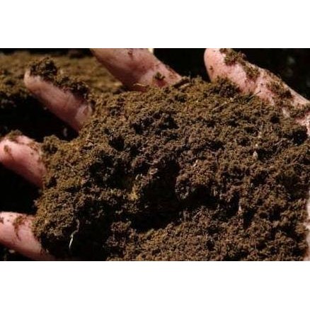 

Terlaris Media Tanam Pupuk Kandang Fermentasi Mix 1Kg