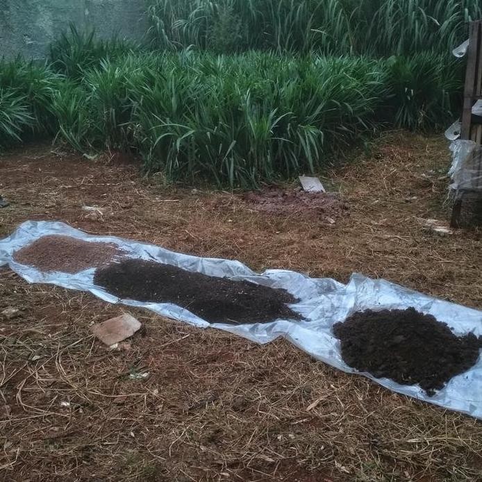 

Terlaris Pupuk Kandang Taman Perkebunan Tanaman Alat Perkebunan