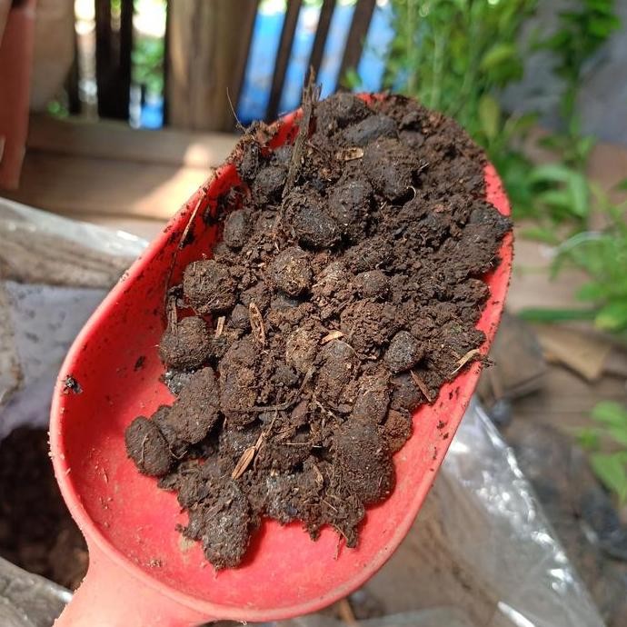 

Terlaris Pupuk Kandang Kambing 250Gr
