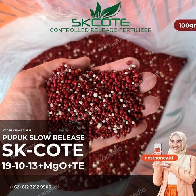 

Terlaris Pupuk Npk Merah Import Sk-Cote Precise Slow Release Repack 100 Gr