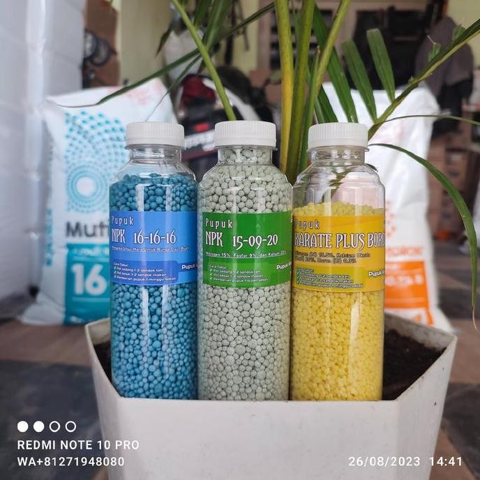 

Terlaris Pupuk Npk Mutiara