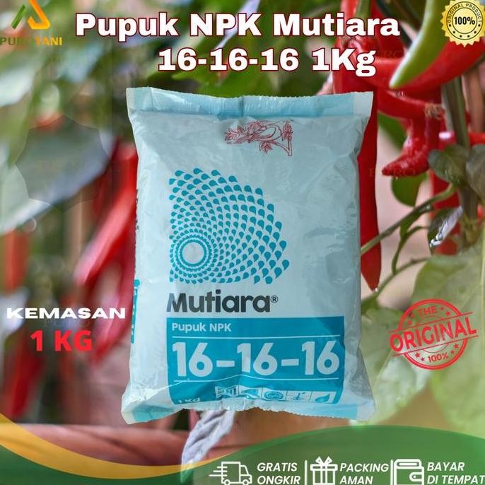 

Terlaris Pupuk Npk Mutiara 1 Kg 16-16-16 Penyubur Buah Bunga Dan Daun