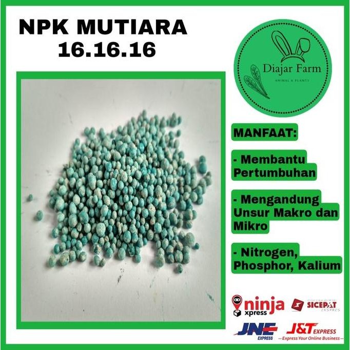 

Terlaris Pupuk Npk Mutiara 16 - 16 - 16 100 Gr