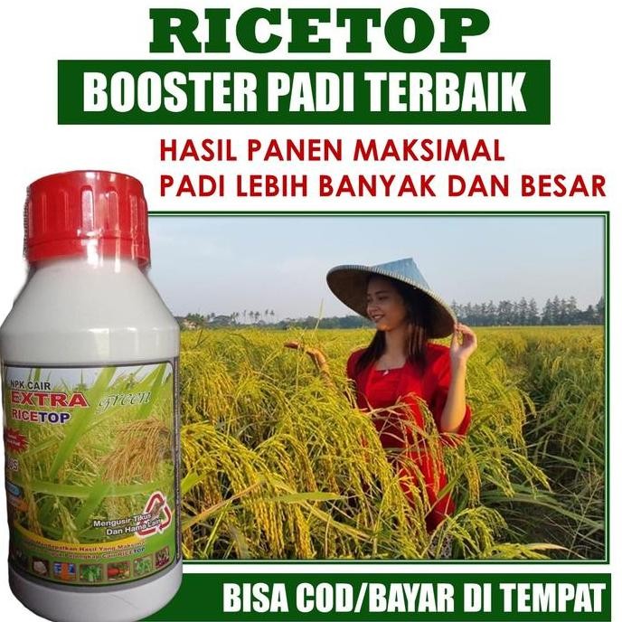 

Terlaris Promo Ricetop Pupuk Npk Cair Extra Green Pupuk Pelebat Padi + Tidak Disukai Tikus Dan Hama Lainnya - Pupuk Cair Ricetop Obat Perangsang Akar, Batang Dan Daun Padi Untuk Menghasilkan Panen Yang Maksimal - Pupuk Rice Top Paling Ampuh Untuk