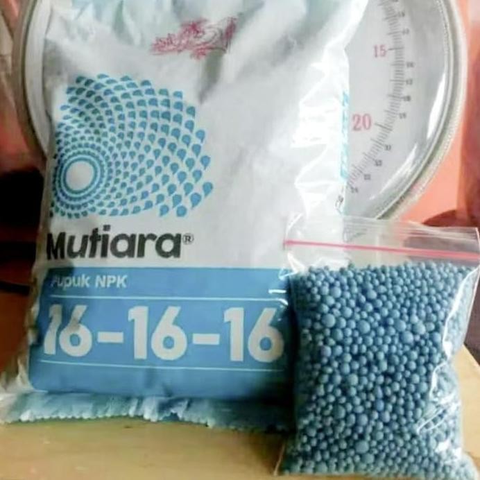 

Terlaris Pupuk Npk Mutiara Kemasan Hemat 50'Gram Dan 100'Gram Penyubur Tanaman