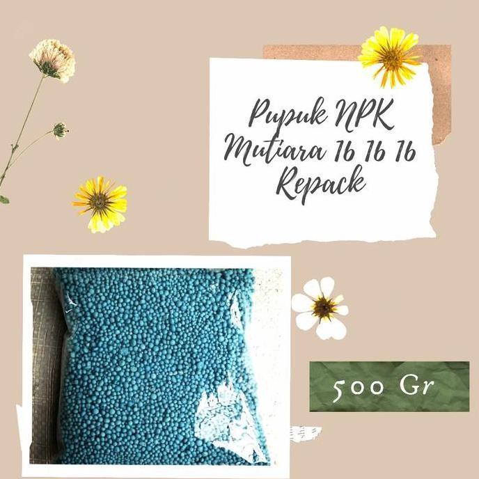 

Terlaris Pupuk Npk Mutiara 16 16 16 Organik Kemasan 500 Gr.