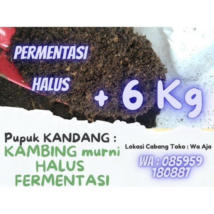 

Terlaris Terbaru Pupuk Kandang Kambing Karungan Murni Butiran Organik Pondok