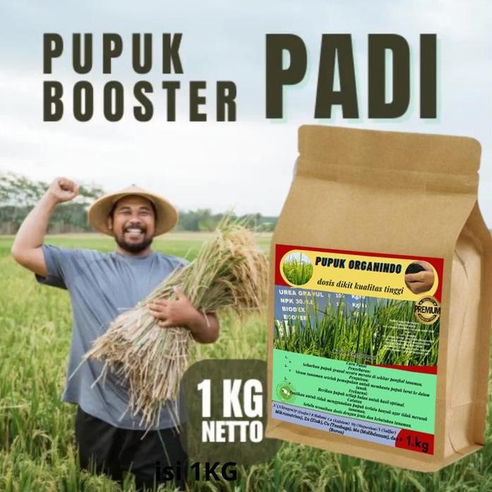 

Terlaris Pupuk Organik Booster Untuk Padi Sawah Pupuk Booster Tanaman Padi Obat Penambah Memperbanyak Anakan Padi