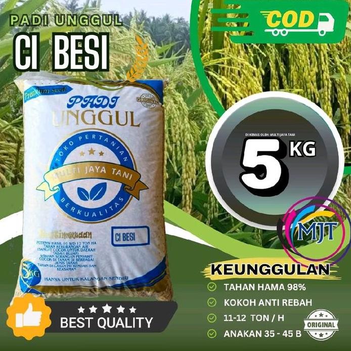

Terlaris Benih Padi Cibesi Kemasan 5Kg - Tanaman Berkualitas Tinggi
