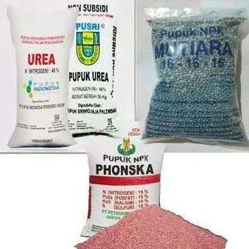 

Terlaris Pupuk Npk Mutiara 1Kg - Nutrisi Tepat Untuk Daun Dan Bunga