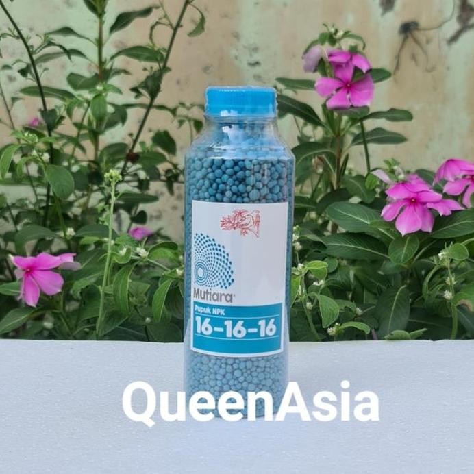

Terlaris Pupuk Npk Mutiara Meroke 16-16-16 Kemasan Reapack 300 Gram