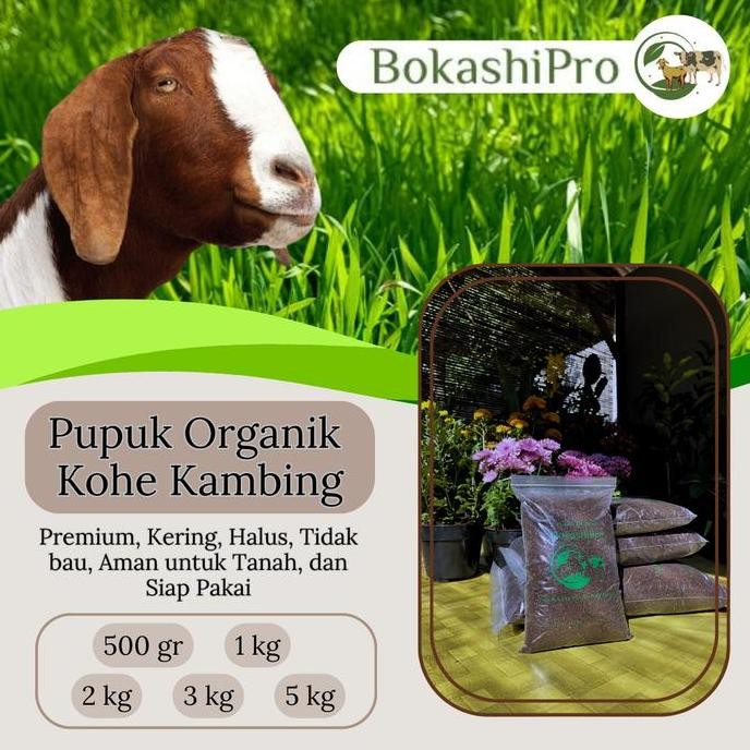 

Terlaris Bokashipro | Pupuk Kandang Murah Berkualitas Premium Terbuat Dari Kohe Kambing