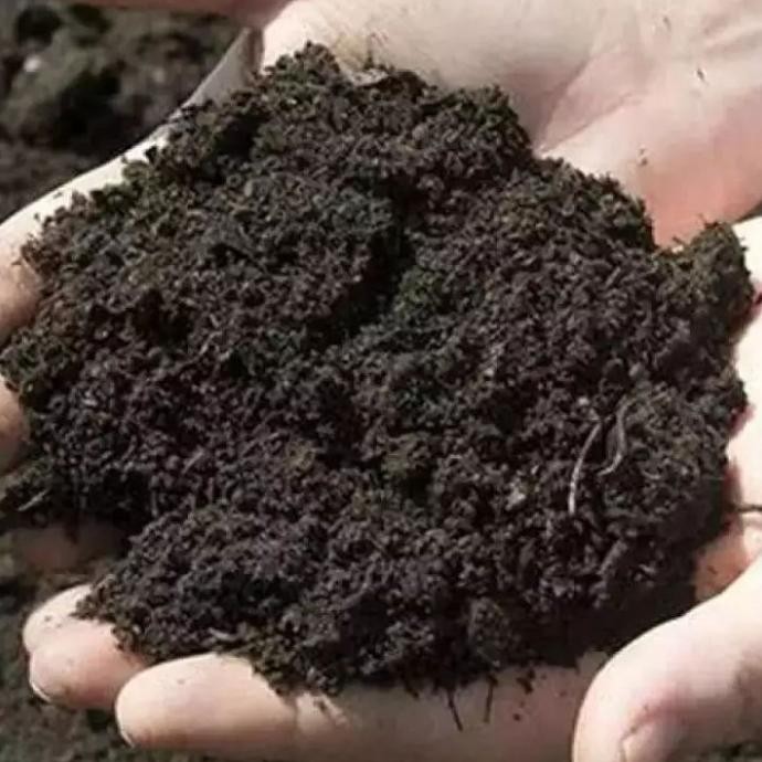 

Terlaris Media Tanam Organik Tanah Subur 13 Kg / Kurang Lebih 13 Kg Pupuk Kandang // Maximal Order 1 Karung // ( Untuk Order 2 Karung Tidak Kirim Kecuali Instant !!! ) Media Tanam Siap Pakai / Media Tanam