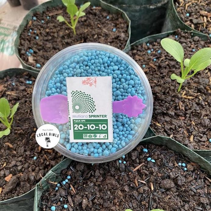 

Terlaris Pupuk Npk Mutiara Sprinter / Unsur Nitrogen Tinggi (Repack Toples)