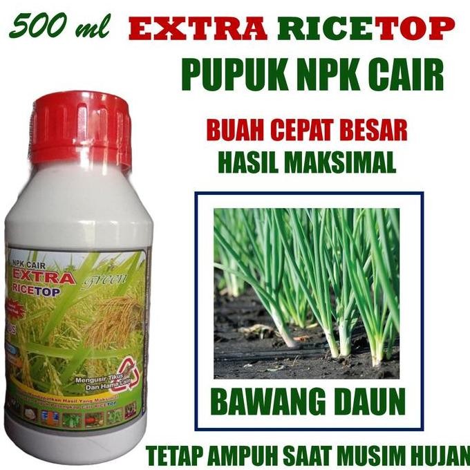 

Terlaris Extra Ricetop Pelebat Bawang Daun Terbaik Tahan Di Musim Hujan - Pupuk Npk Cair Pelebat Bawang Daun Ricetop, Pupuk Organik Pelebat Bawang Daun Isi 500 Ml - Obat Organik Cair Melebatkan Daun Bawang Pupuk Terlaris Bawang Daun Ampuh Pupuk Tahan