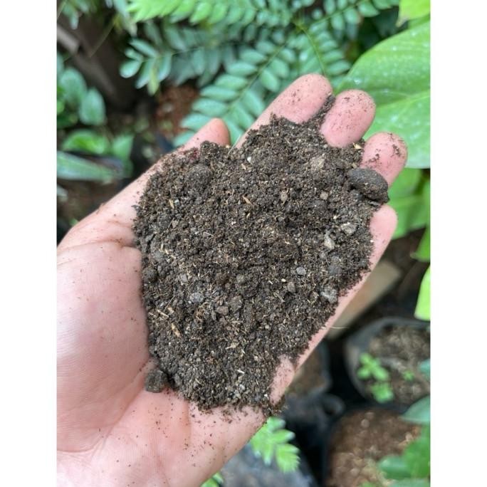 

Terlaris Pupuk Kandang Kambing Bersih Dan Halus (1 Kg)