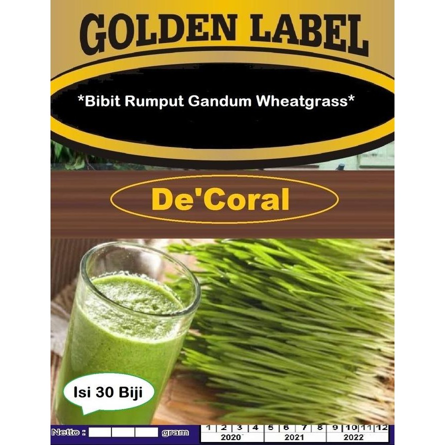 

Terlaris Bibit Rumput Gandum Wheatgrass | Benih Rumput Gandum Wheatgrass