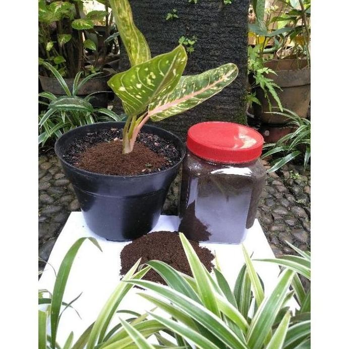 

Terlaris Pupuk Kandang Bubuk Premium Kohe Kambing Fermentasi