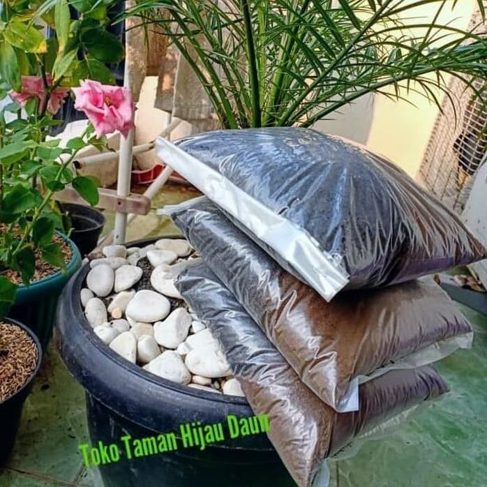 

Terlaris Paket Media Tanam Kompos Tanah Lembang Dan Pupuk Kandang Siap Pakai