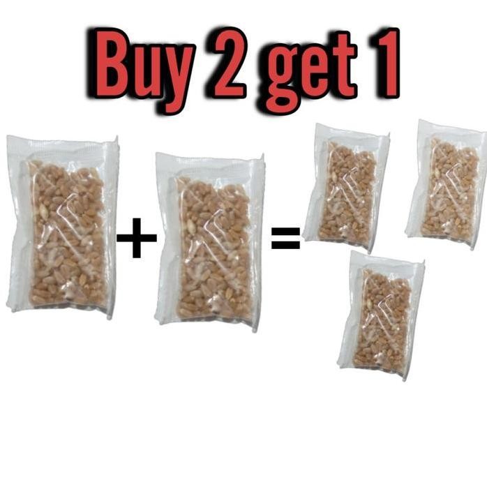 

Terlaris Gandum Benih, Bibit Wheatgrass, Biji Rumput Kucing Premium-10Gr