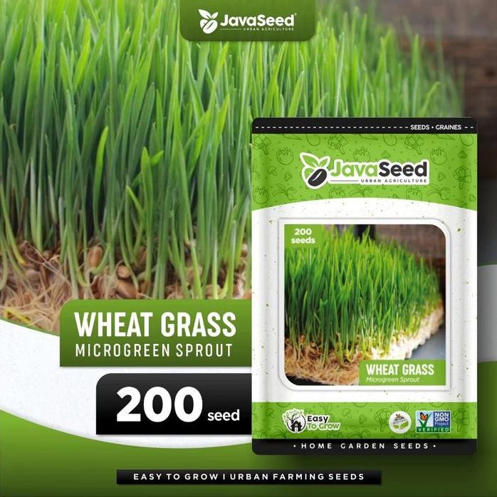 

Terlaris Benih Microgreen Rumput Gandum Durum Wheat Grass 1000 Benih