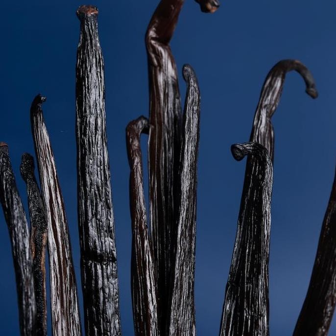 

VANILLA BEANS PLANIFOLIA GRADE SUPER GOURMET (BIJI VANILA 100%ORGANIK) TERMURAH