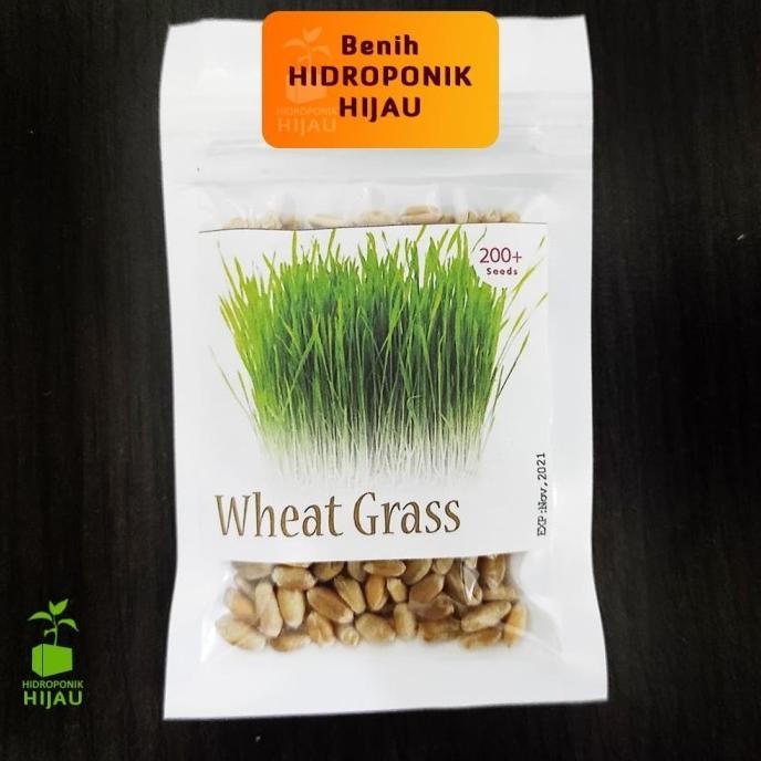 

Terlaris Um(1) Benih Microgreen Wheatgrass Catgrass Rumput Gandum Repack