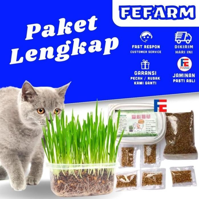 

Terlaris Promo Paket Menanam Rumput Gandum Wheat Grass Catgrass Biji Benih