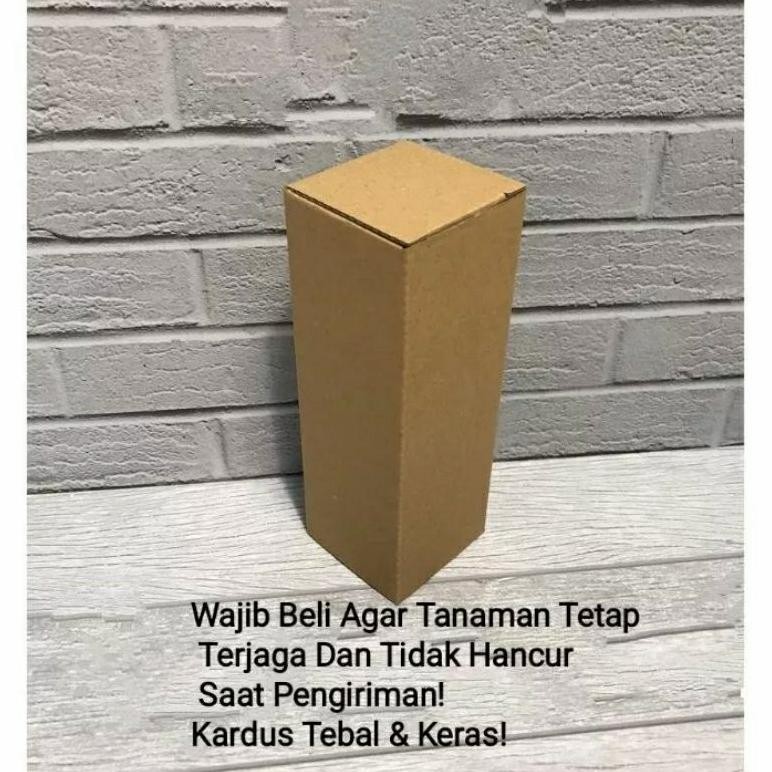 

Hj-54 Ter-46 Packing Tambahan - Kardus Tebal & Kuat - Tambahan Packing Termurah