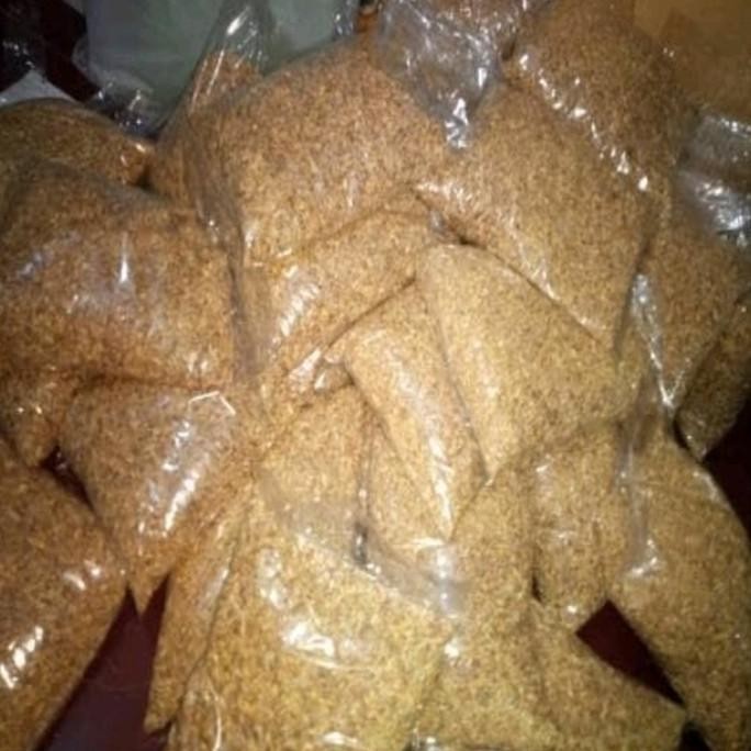 

Terlaris Terbaru 1Kg Benih Rumput Gandum Organik -Wheatgrass-Import Kemasan 1
