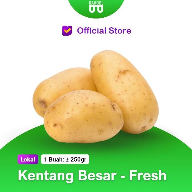 

Ready stok Terlaris Kentang Besar Termurah