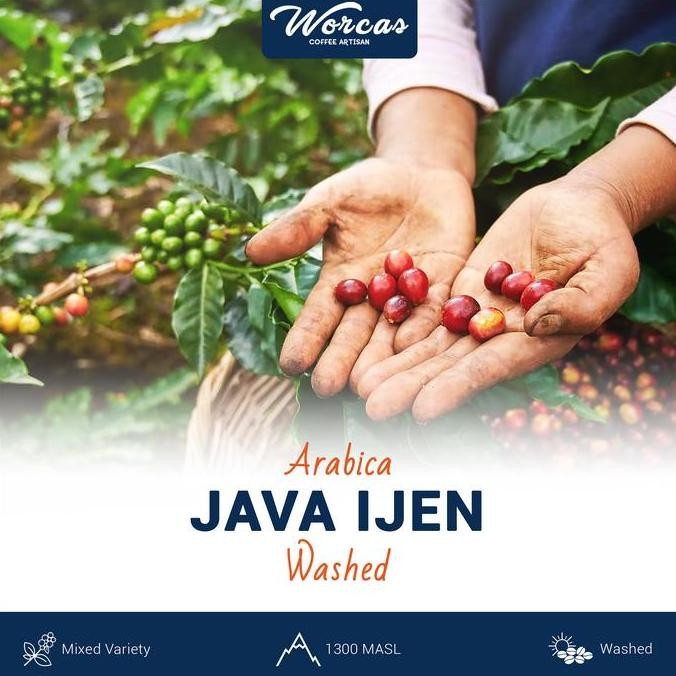 

JAVA IJEN ARABICA GREEN BEAN 1KG (BIJI KOPI MENTAH) TERMURAH