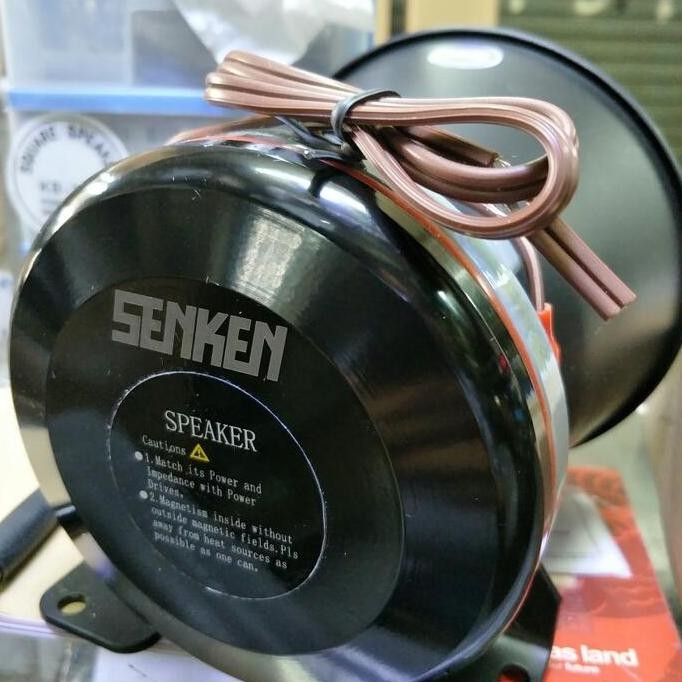 ready speaker SENKEN YD100i