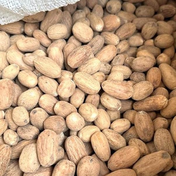 

BIJI PALA LONJONG KUPAS 100GR / 250GR - PALA KUPAS LONJONG TERMURAH