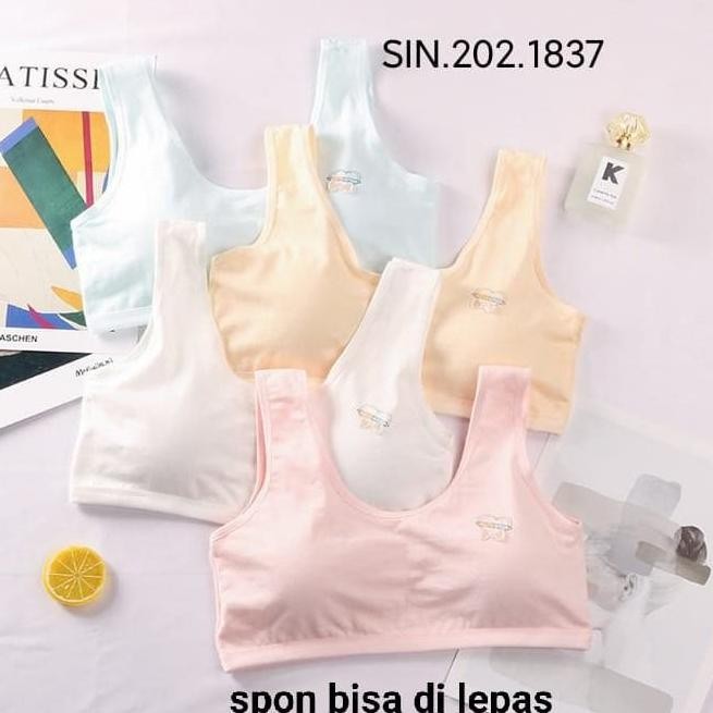 Harga Mini SET Tebal Remaja Terbaru Agt 2025 | BigGo Indonesia