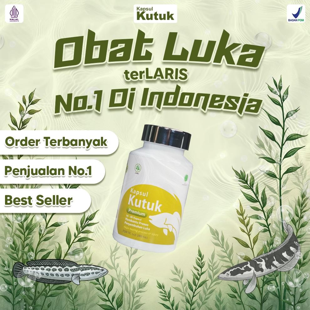 Kapsul Kutuk Premium Albumin Terlaris - Pengering Penyembuhan Luka Diabetes / Pasca Operasi / Melahi