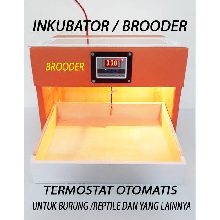 Penghangat Anakan Burung Inkubator Penghangat Anakan Burung Original Dan Terpercaya