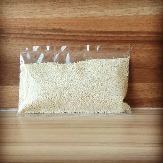 

Terlaris Wijen Putih 100Gr