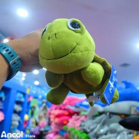 ANCOL BONEKA KARAKTER TURTLE BIG EYE | Boneka Kura Kura Mata Besar | Official Merchandise Dolls Toys