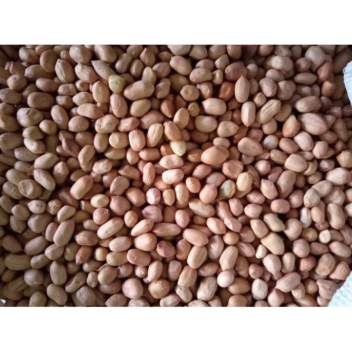 

HIW Kacang TANAH per 1 kg