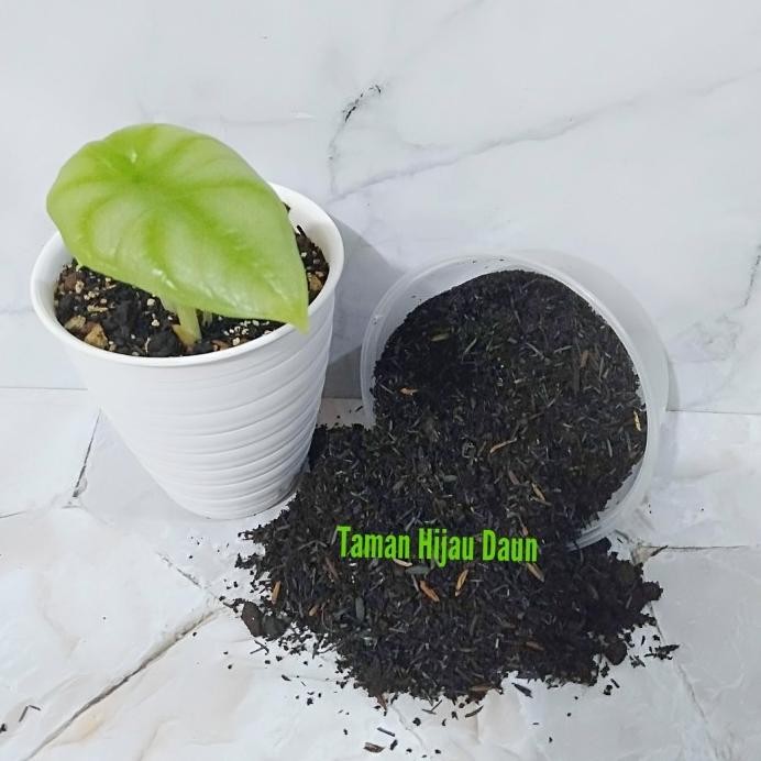 

Terlaris Wlcme! Media Tanam Subur 1Kg Mix Kompos Sekam Bakar Pupuk Kandang Kambing