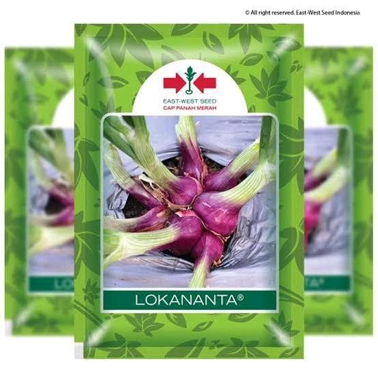 

Terlaris Bibit Bawang Merah Lokananta Isi 10 Gram Original Cap Panah Merah