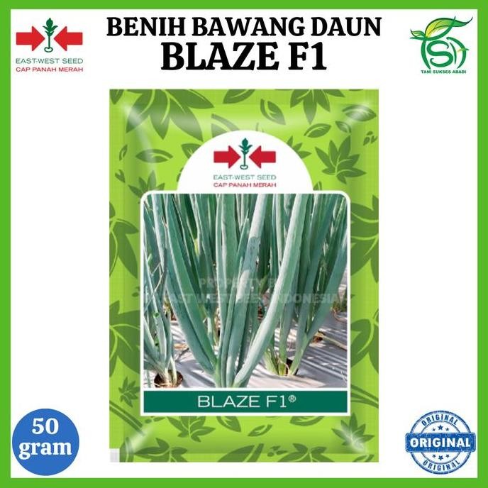 

Terlaris Benih Bawang Daun Blaze F1 Kemasan 50 Gram - Bibit Cap Panah Merah