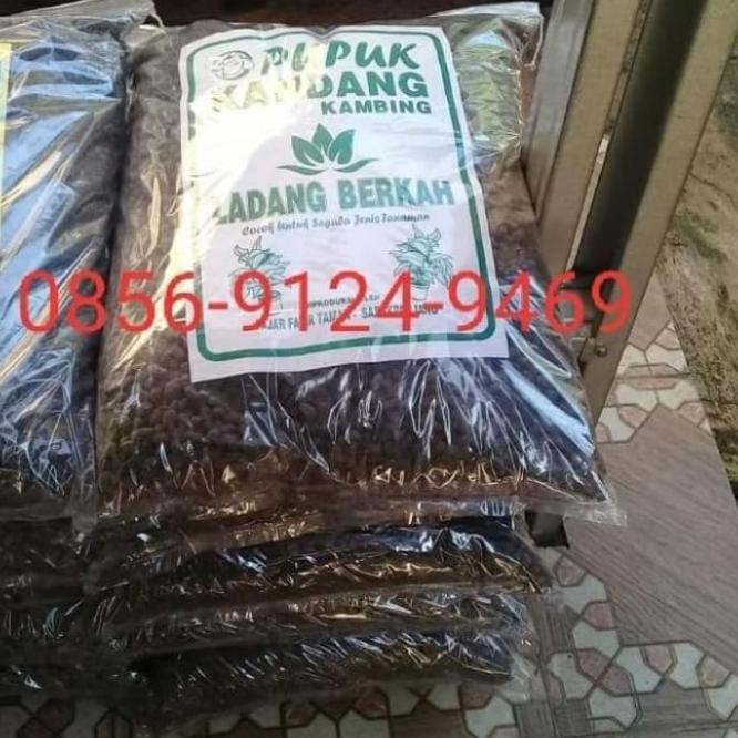 

Terlaris Xil 4 Kg Pupuk Kandang Murni Tanpa Campuran Xil