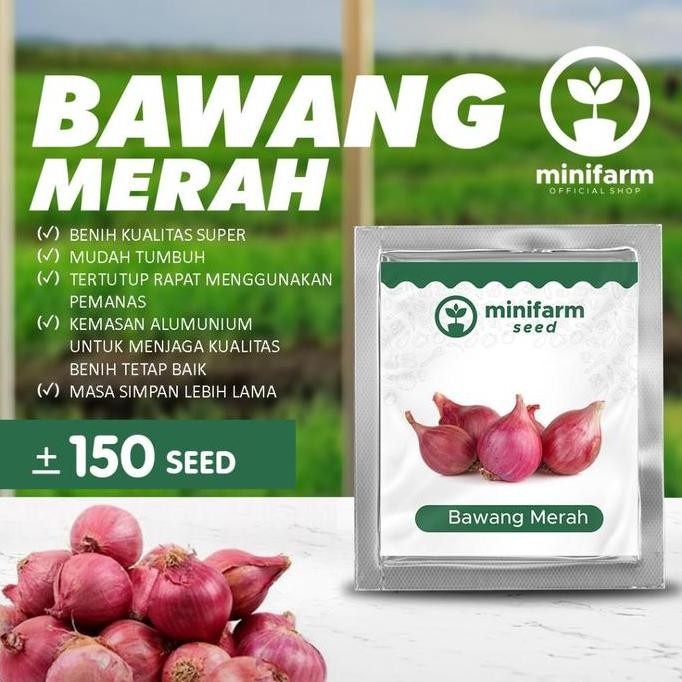 

Terlaris Terlaris Minifarm - Benih Bibit Bawang Merah Kualitas Super